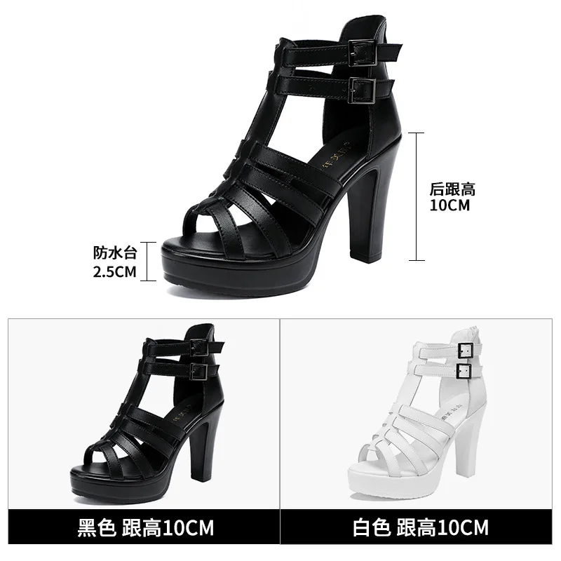 Gladiator sepatu wanita untuk  - Summer Clothing Stores ulasan dan harga